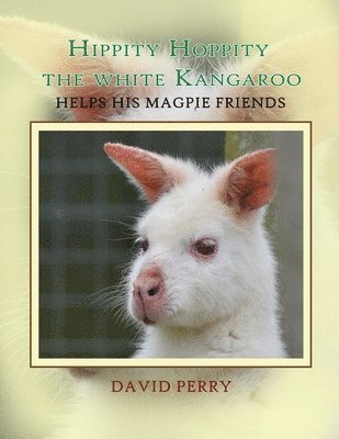 Hippity Hoppity The White Kangaroo Helps His Magpie Friend 1