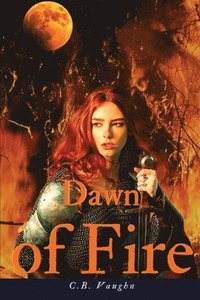 bokomslag Dawn of Fire