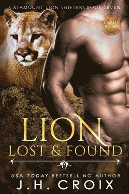 bokomslag Lion Lost & Found