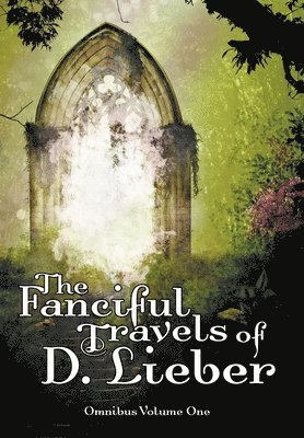 bokomslag The Fanciful Travels of D. Lieber