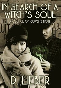 bokomslag In Search of a Witch's Soul