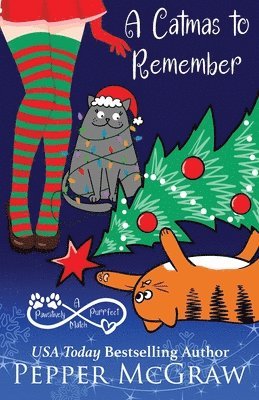 bokomslag Catmas to Remember
