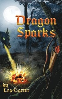 bokomslag Dragon Sparks