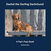 bokomslag Dashel the Darling Dachshund