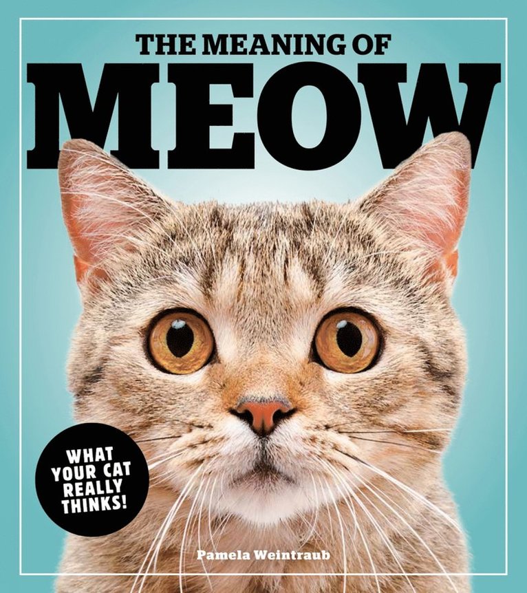 Meaning Of Meow