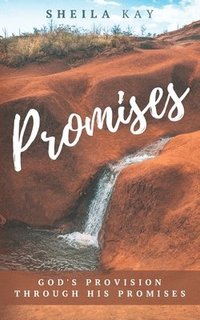 bokomslag Promises