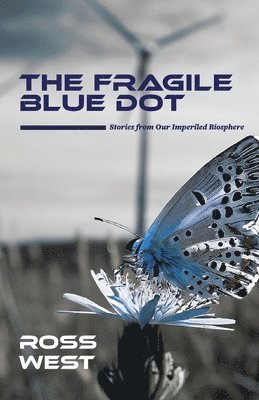 bokomslag Fragile Blue Dot