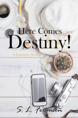 bokomslag Here Comes Destiny!