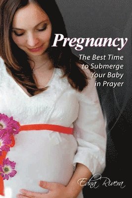 bokomslag Pregnancy