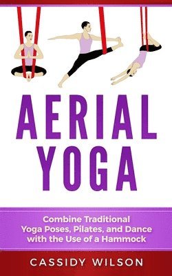 Aerial Yoga 1