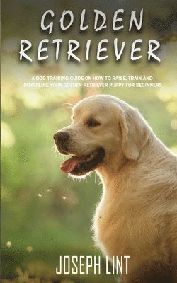 Golden Retriever 1