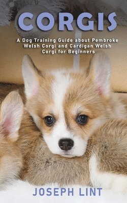 bokomslag Corgis