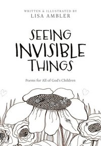 bokomslag Seeing Invisible Things
