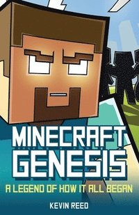 bokomslag Minecraft