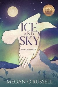 bokomslag Ice and Sky
