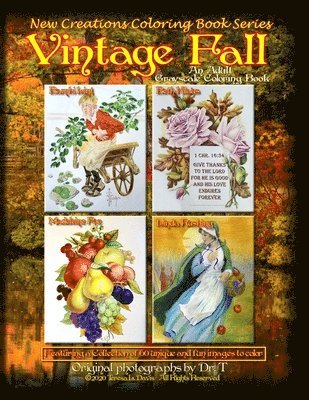Teresa Davis, Brad Davis - New Creations Coloring Book Series: Vintage Fall, Häftad. Tillgänglighet: Lägg i varukorg