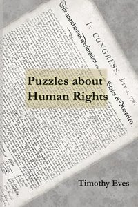 bokomslag Puzzles about Human Rights