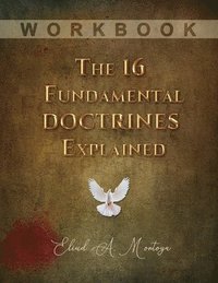bokomslag The 16 Fundamental Doctrines Explained