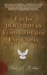 bokomslag Las 16 doctrinas fundamentales explicadas