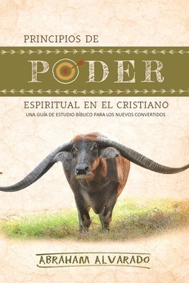 Abraham Alvarado - Principios de poder espiritual en el cristiano, Häftad