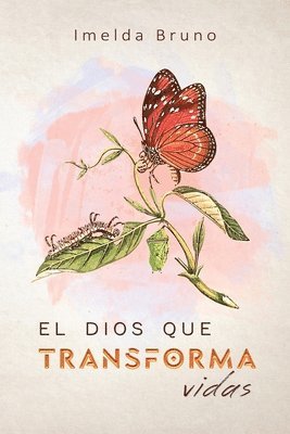 bokomslag Dios que transforma vidas