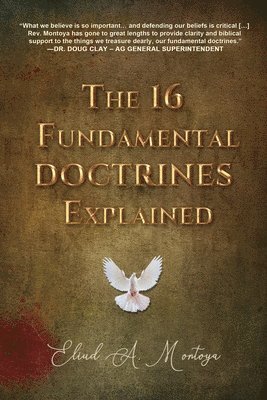 bokomslag The 16 Fundamental Doctrines Explained