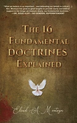 bokomslag Fundamental Doctrines Explained