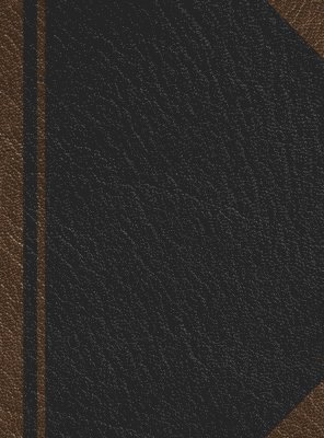bokomslag Notary Journal