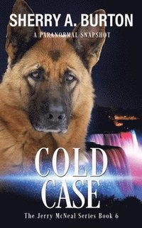 bokomslag Cold Case