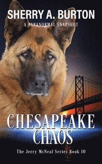 bokomslag Chesapeake Chaos