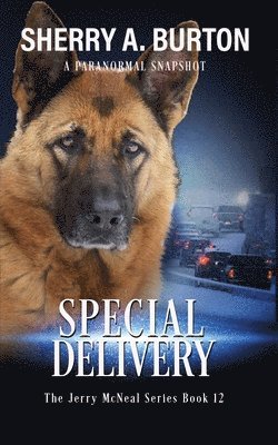 bokomslag Special Delivery