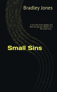 bokomslag Small Sins