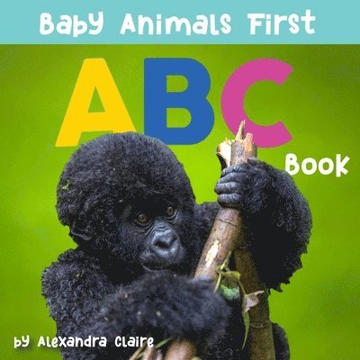 Baby Animals First ABC Book 1