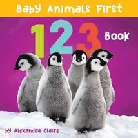 bokomslag Baby Animals First 123 Book
