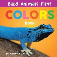 bokomslag Baby Animals First Colors Book