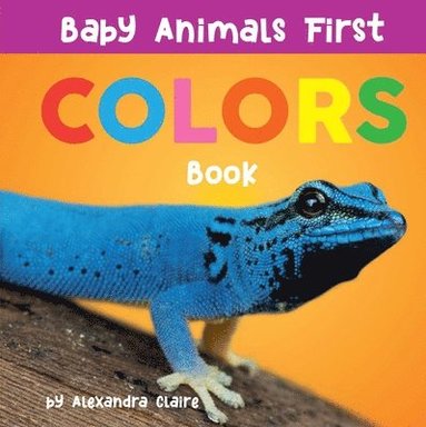 bokomslag Baby Animals First Colors Book