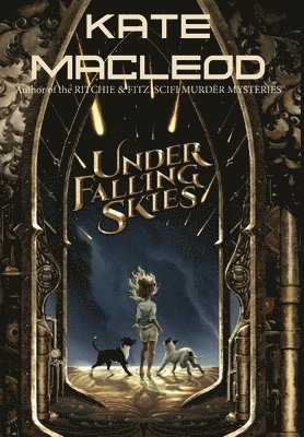 bokomslag Under Falling Skies