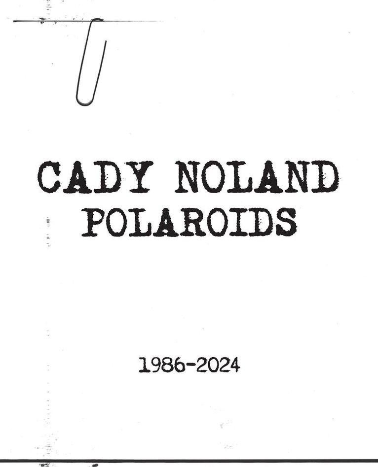 Cady Noland - Cady Noland, Inbunden
