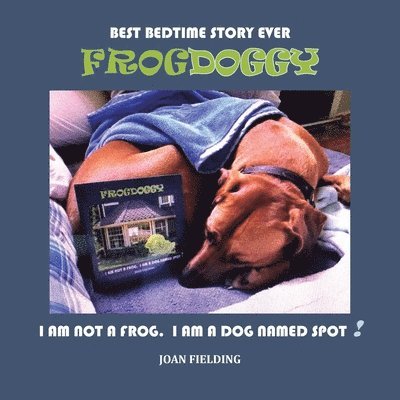 Frogdoggy 1