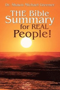 bokomslag Bible Summary for Real People!