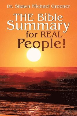 bokomslag Bible Summary for Real People!