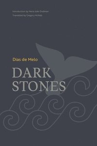 bokomslag Dark Stones