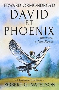 bokomslag David et Phoenix