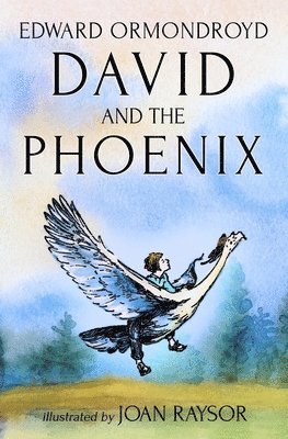 bokomslag David and the Phoenix