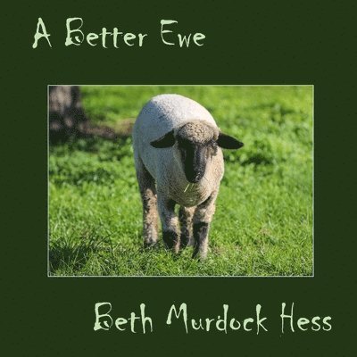 A Better Ewe 1