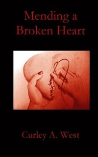 bokomslag Mending a Broken Heart