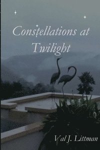 bokomslag Constellations at Twilight