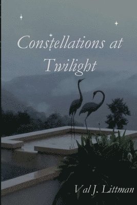 bokomslag Constellations at Twilight