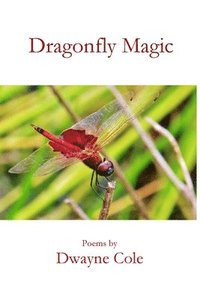 bokomslag Dragonfly Magic