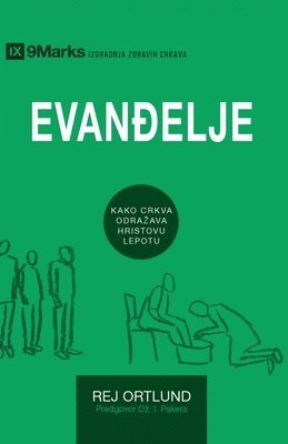 bokomslag The Gospel / Evan?elje